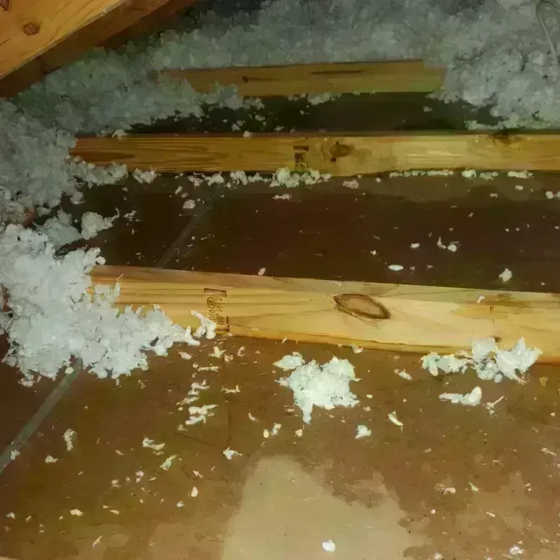 Attic Water Damage in Franklin County, FL