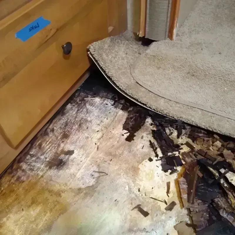 Wood Floor Water Damage in Franklin County, FL